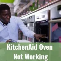 Man checking the oven