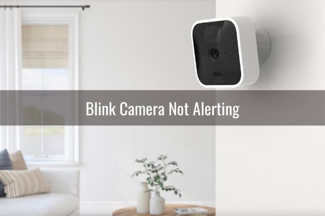 Blink camera on the wall