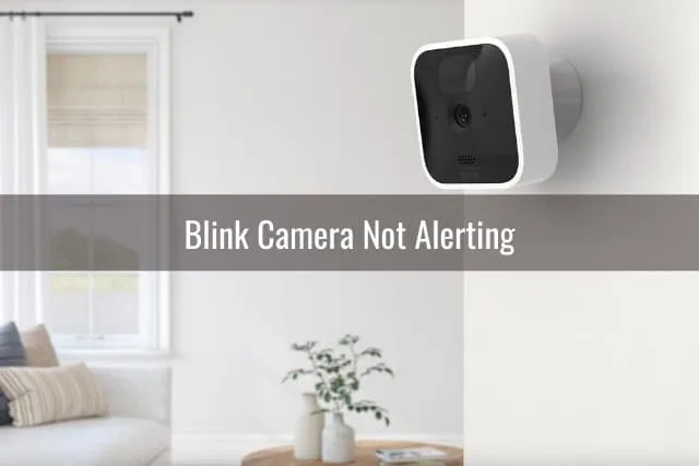 Blink camera on the wall