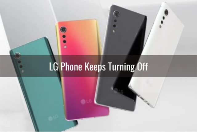 LG phone different colors