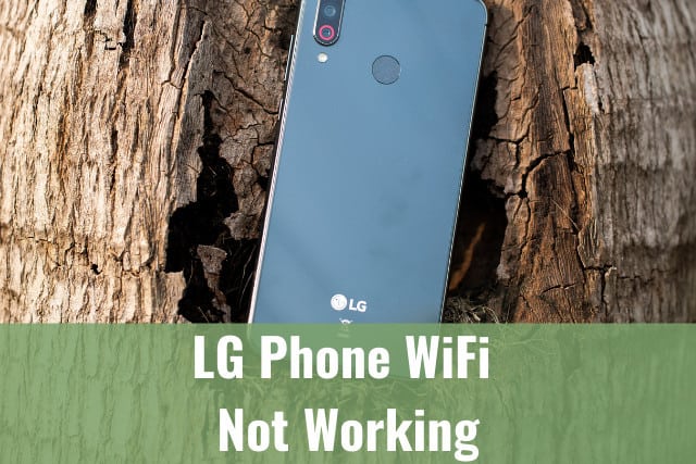 Blue LG phone on the tree