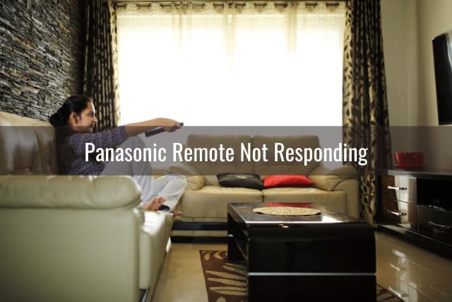 Woman holding a remote while pointing in the TV