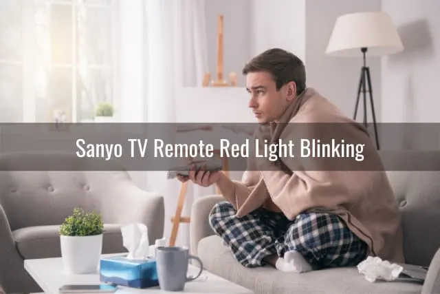 Man holding a remote while pointing at the TV