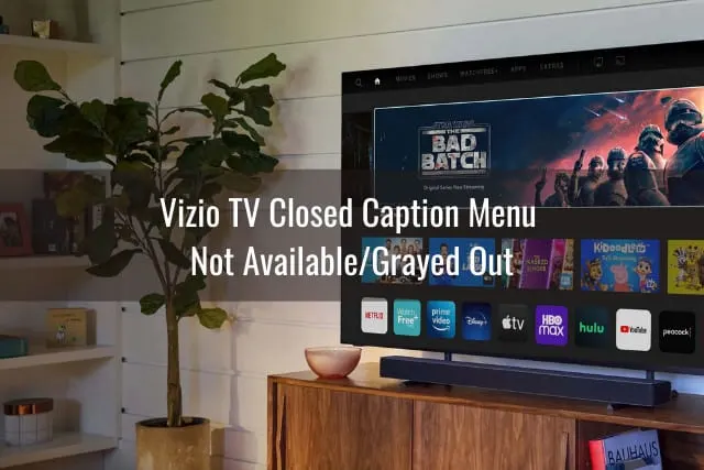 Vizio Tv in the living room