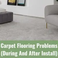 Floor carpet in the living room