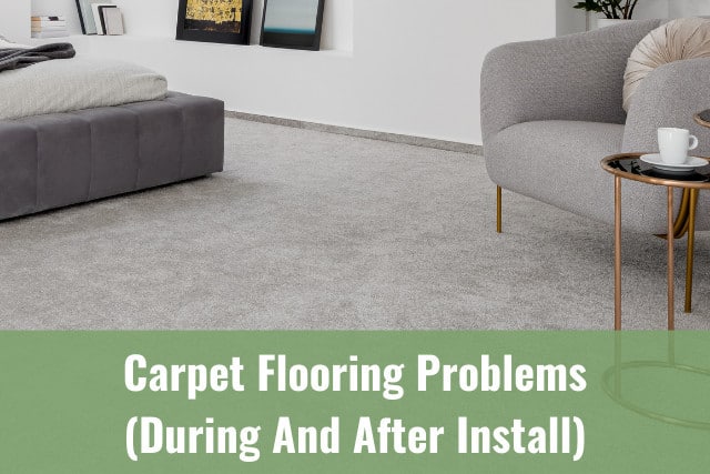 Floor carpet in the living room
