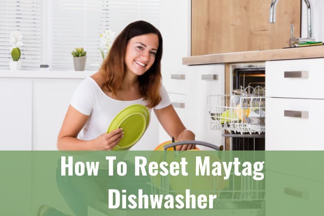 Putting plates in dishwasher