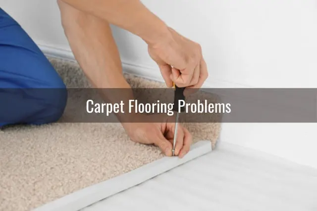 Fixing the carpet in the floor