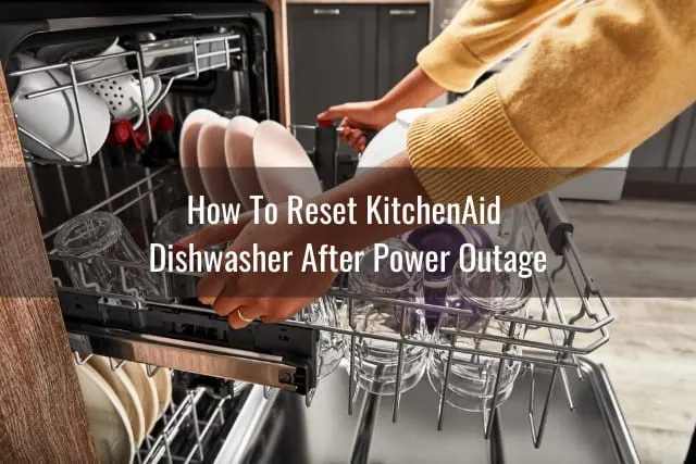 Putting plates in dishwasher