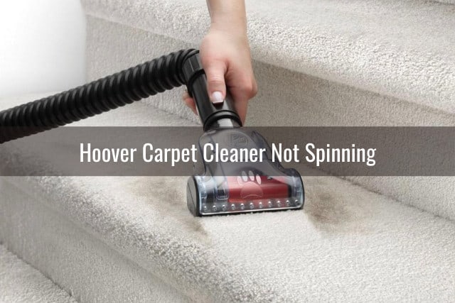 Woman cleaning the carpet using Hoover