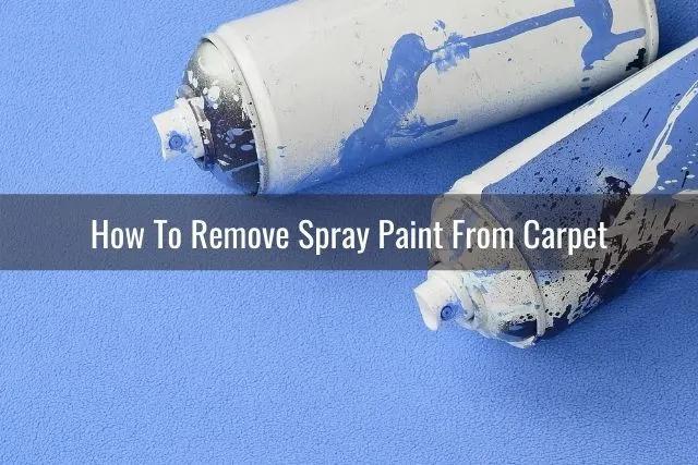 Aerosol spray paint bottle