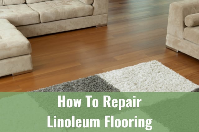 Living room Linoleum flooring