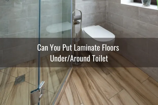 Bathroom ang toilet flooring