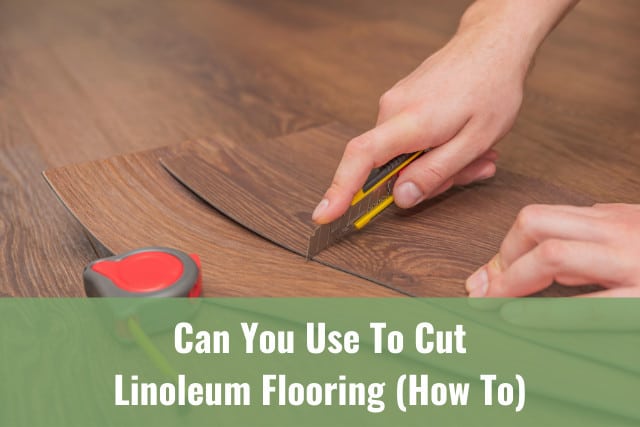 Cutting the floor using cutter
