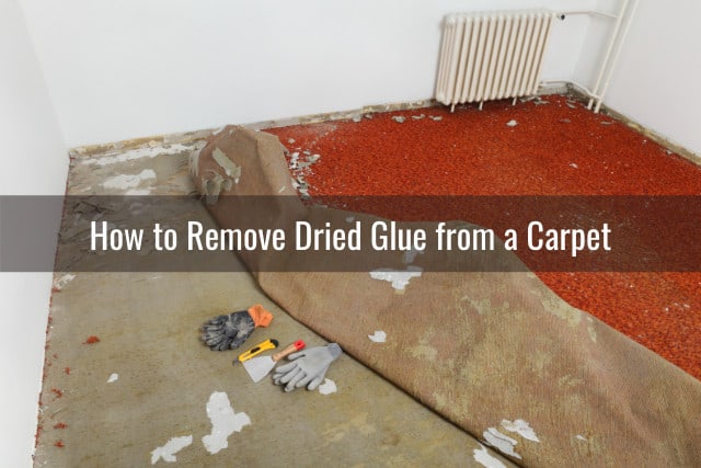 Remove glue from the carpet