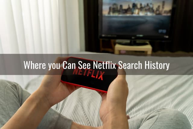 Man holding a phone while watching netflix