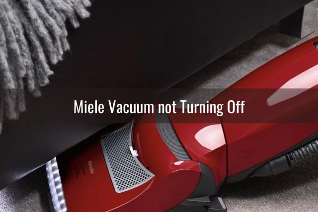 Red miele vacuum