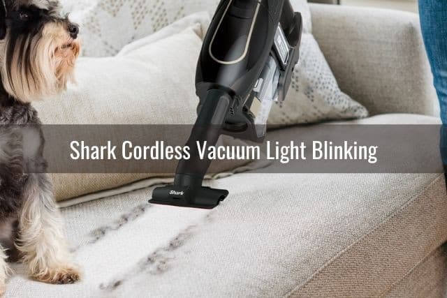 Cordless vacuum cleaning dirty white rug