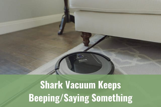 Black vacuum cleaning the floor