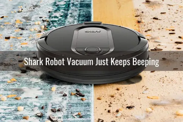 Black vacuum cleaning the floor
