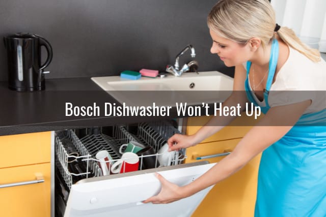 Woman opened the dishwasher