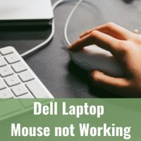 Using Laptop/ computer mouse
