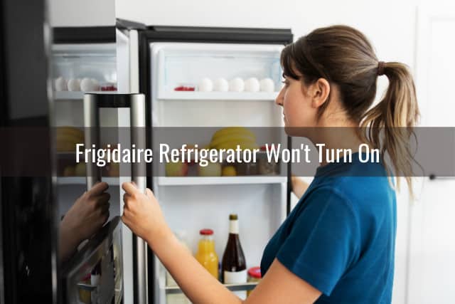 Woman checking the refrigerator