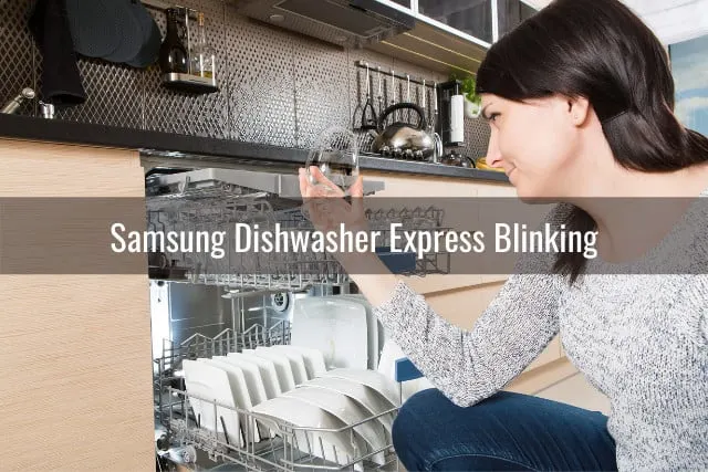 32+ Samsung Dishwasher Normal Light Flashing