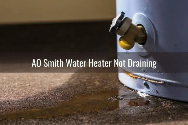 Water heater grain water