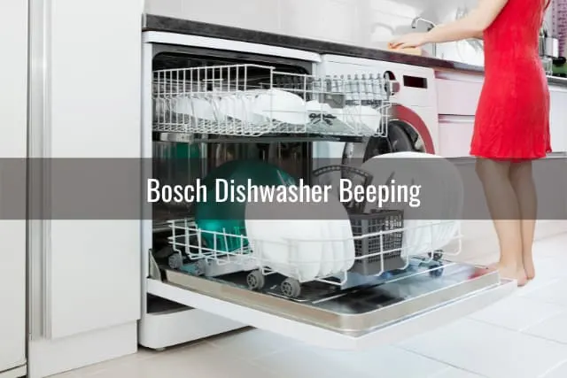 Modern whit dishwasher