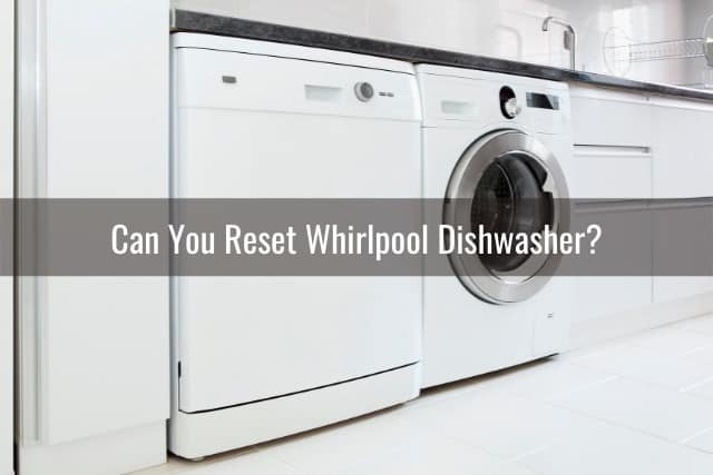 Dishwasher behind the washing machine