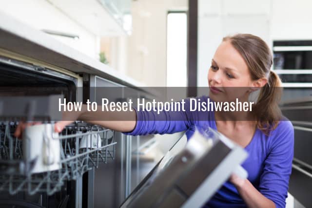Putting plates in the diswasher
