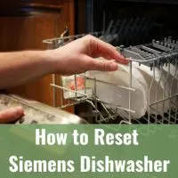 Putting plates in the diswasher