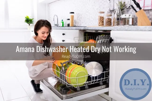 Woman putting plates on the dishwasher