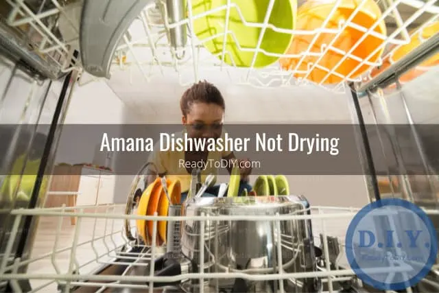 Woman putting plates on the dishwasher