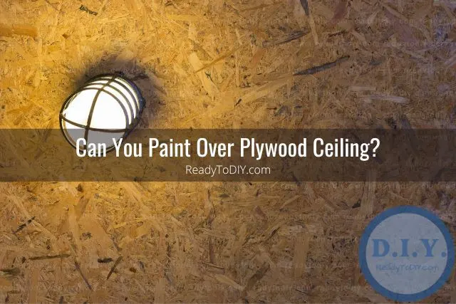 Plywood ceiling with light