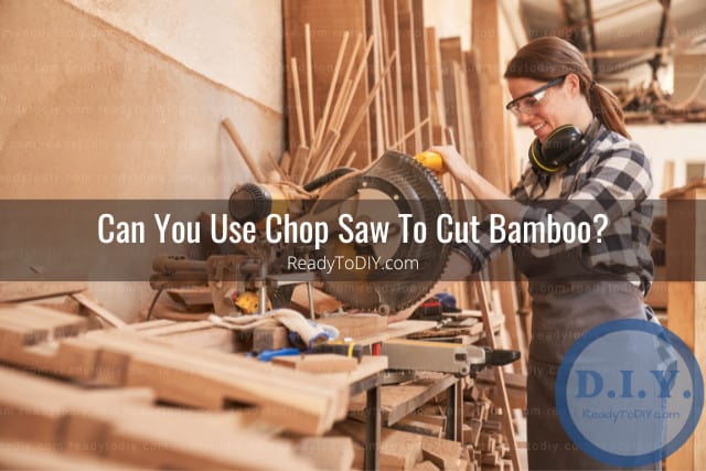 Tools to cut the bamboo
