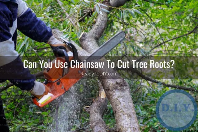 Tools to cut the tree