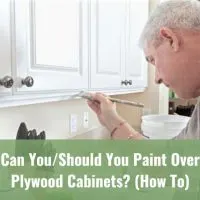 Man painting the cabinet