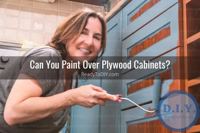 Woman painting the cabinet
