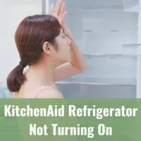 Broken refrigerator with empty food inside