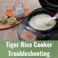 Latest black and gray rice cooker
