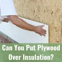 Man installing plywood