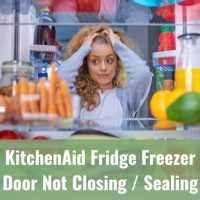 Frustrated woman looking at the refrigerator