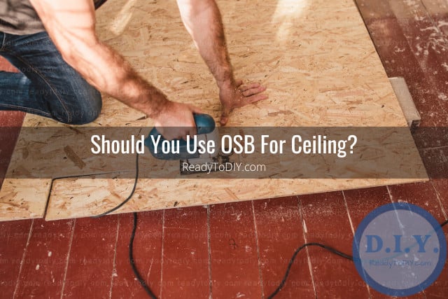 Osb for Ceiling