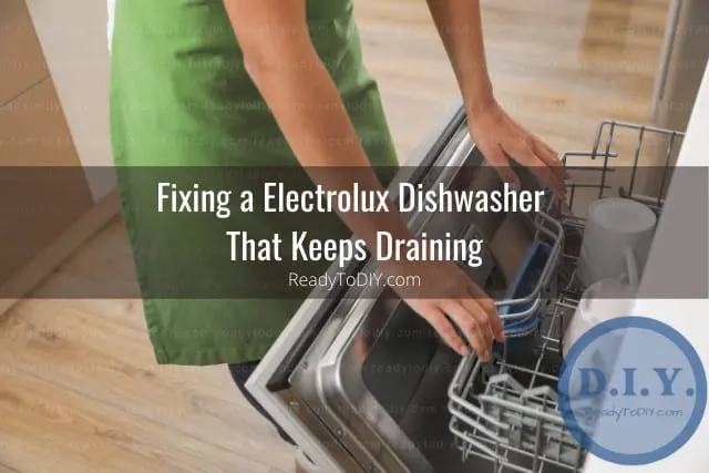 dishwasher in the kitchen